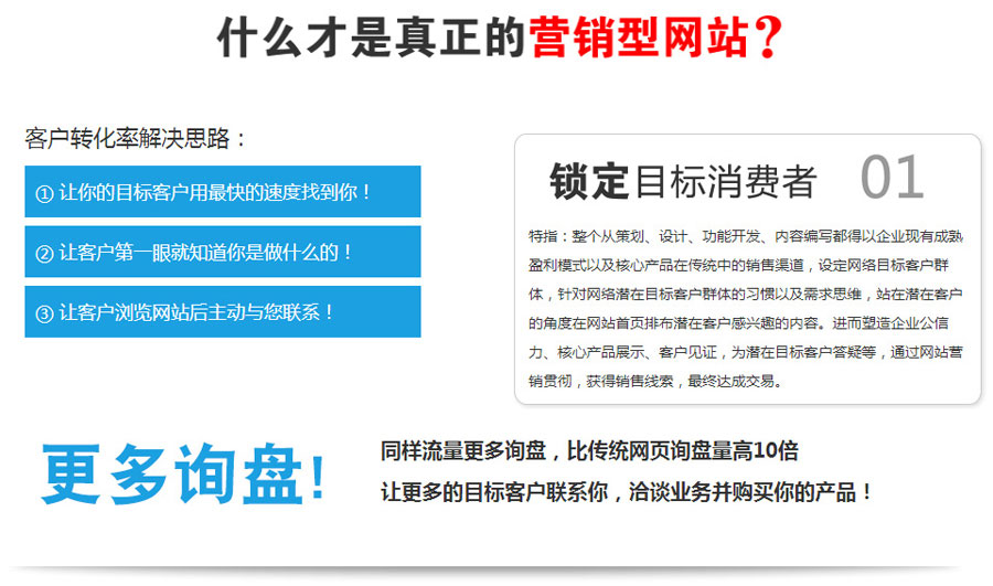 外贸独立站开发营销型网站建设  第1张